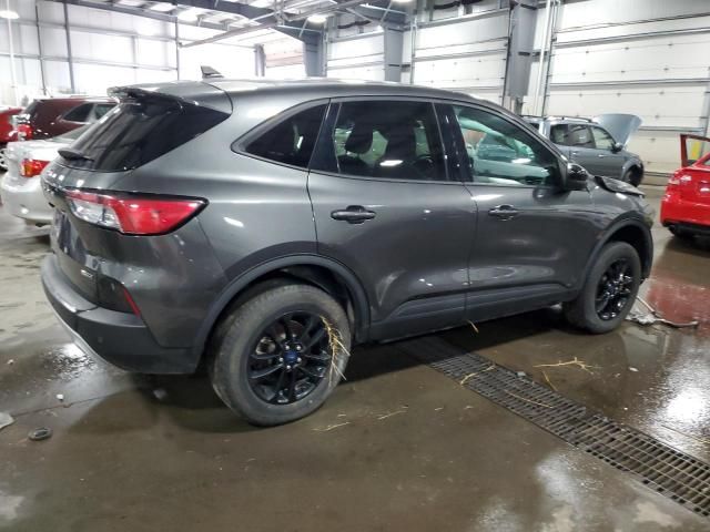 2020 Ford Escape SE Sport