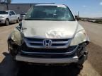 2010 Honda CR-V EXL