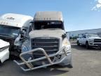 2021 Freightliner Cascadia 126