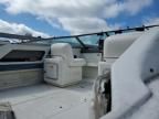 1993 Sea Ray Boat