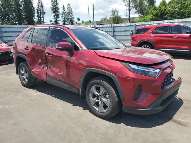 2024 Toyota Rav4 xle