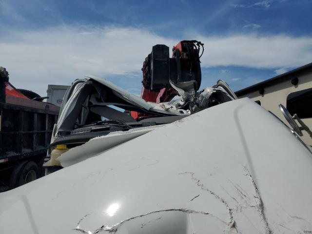 2019 Freigliner 2019 Freightliner Business Class M2 Flatbed Truckw