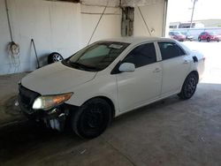 Toyota Corolla salvage cars for sale: 2010 Toyota Corolla Base