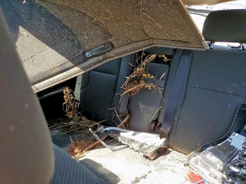 2020 Lexus GX 460 Premium