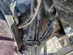 2004 Harley-Davidson Flstci