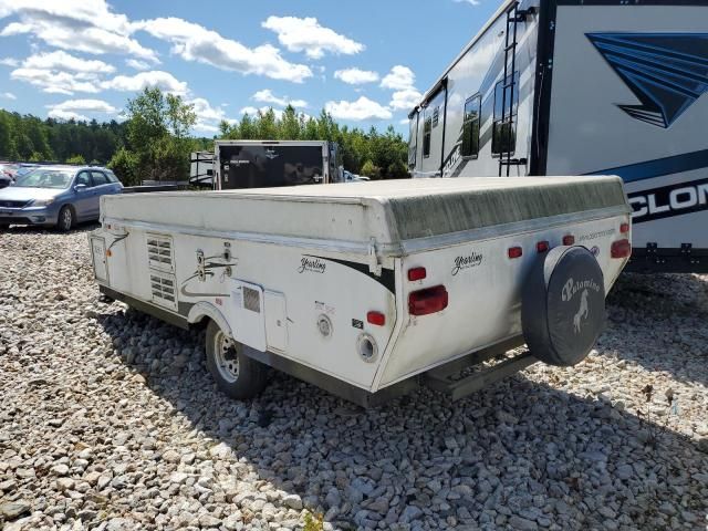 2008 Palomino Yearlings 4123 Fores