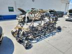 2025 Pols RZR