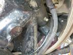 2005 Harley-Davidson Flstci