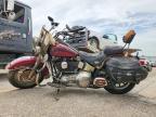2005 Harley-Davidson Flstc