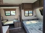 2019 Coachmen 2019 Forest River Clipper Camper