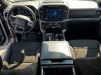 2025 Ford F150 XLT