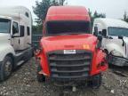 2019 Freightliner Cascadia 126