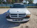 2002 Dodge Dakota Quad Sport