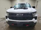 2024 Chevrolet Silverado K1500 LT Trail Boss