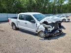 2023 Ford F150 XL 4WD 5.0L V8 Crew Cab