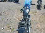 2023 Harley-Davidson Fxst