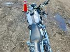 2002 Harley-Davidson Fxdl
