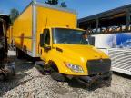 2025 International MV607 BOX Truck