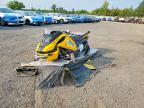 2024 Skidoo 190 SM MXZ ADR 600R