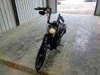 2021 Harley-Davidson XL883 N