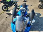2024 Suzuki GSX800 F