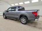2025 Ford F150 XLT