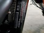 2024 Harley-Davidson Fxlrs