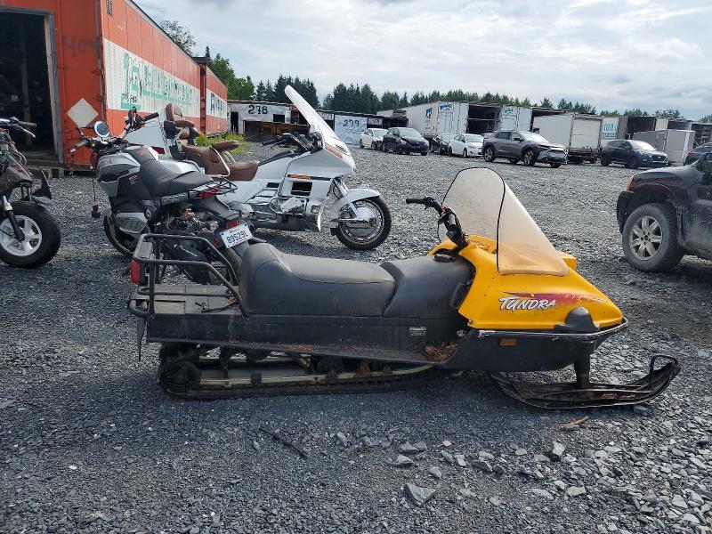 1999 Skidoo Tundra