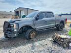 2025 Ford F250 Super Duty