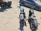 2024 Honda CMX500 A2