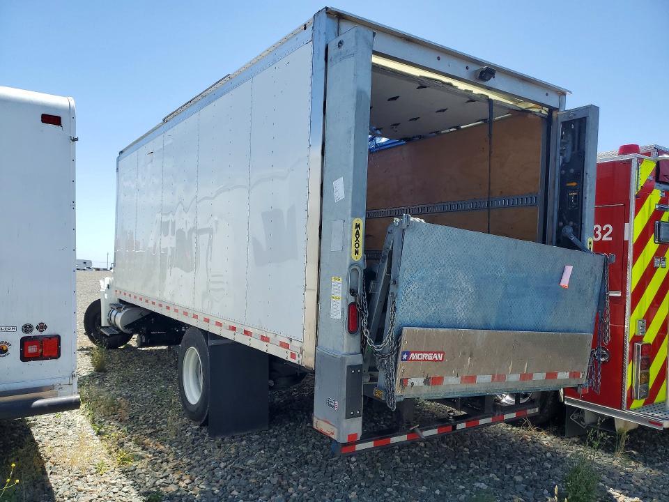 2025 International MV607 BOX Truck