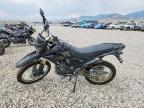 2024 Zongshen TT250