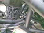 2024 Kawasaki EX500 H