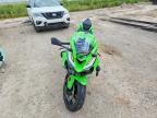 2025 Kawasaki ZX636 K