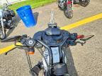 2021 Harley-Davidson XL1200 NS