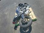 2025 Triumph Daytona 660