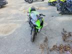 2025 Kawasaki EX650 P