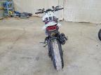 2024 Ducati Monster