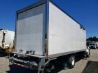 2024 International MV607 BOX Truck