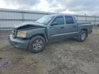 2008 Dodge Dakota Quattro