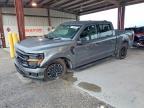 2025 Ford F150 XLT