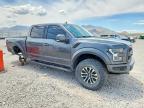 2019 Ford F150 Raptor