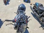 2024 Ducati Monster