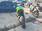 2024 Kawasaki ZX636 K