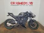 2024 Kawasaki EX650 R