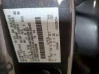 2024 Ford F150 XLT