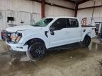 2025 Ford F150 XLT
