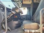 2023 Freightliner Cascadia 126 Truck Cab AND Chassis