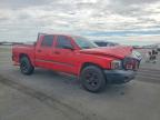 2005 Dodge Dakota Quattro
