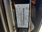 2024 Ford F150 STX